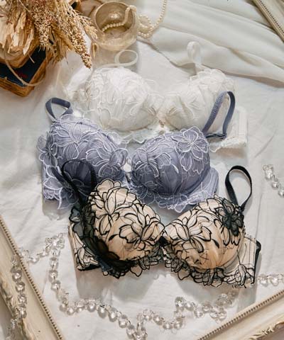 エレガントコレクション【2512】単品ブラBCDカップ 【northerly】